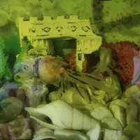 آکواریوم سایز بزرگ|ماهی|ماکو, |دیوار