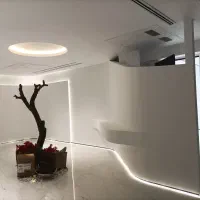 کناف ، کنافکار ، کناف کار ، سقف کاذب|خدمات پیشه و مهارت|تهران, نیاوران|دیوار