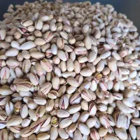 صادرات پسته و خشکبار و محصولات خانگی