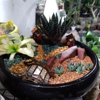 دیش گاردن و تراریوم خاص