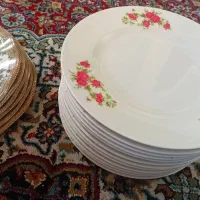 میوه خوری ملامین