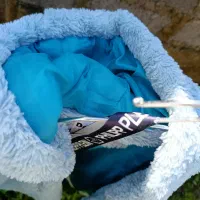 تدی پشمالو آبی و هودی پلنگی|لباس|گوراب زرمیخ, |دیوار