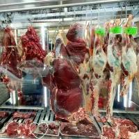 مغازه تجاری ۲۰۰ متری/قصابی/هایپر/میوه فروشی/فوری|اجارهٔ مغازه و غرفه|مشهد, مصلی (کارمندان اول)|دیوار