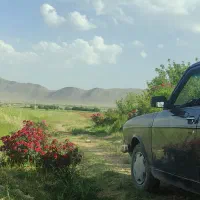 آموزش رانندگی