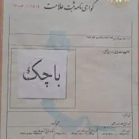 برند باچک