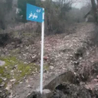 زمین مسکونی و باغ چای و درختکاری