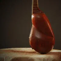 تار فرهنگیان|سازهای سنتی|تهران, نیاوران|دیوار