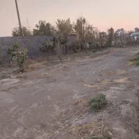 زمین کشاورزی|فروش دفتر صنعتی، کشاورزی، تجاری|ری, فیروزآباد|دیوار