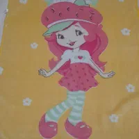 دوعدد پتو|رختخواب، بالش، پتو|سقز, |دیوار