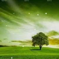 زمین ۵۰۰متر