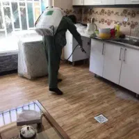 سمپاشی ساس کوسک موش حشرات با ضمانت کتبی