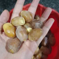 پاجوش برحی برهی حاج باقری