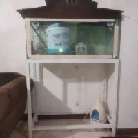 اکواریوم کلبه