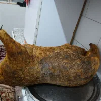 هیزول|لوازم جانبی حیوانات|اندیمشک, |دیوار