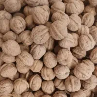 گردوی خشک