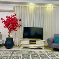 درختچه های وارداتی