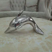 جا شمعی دلفین