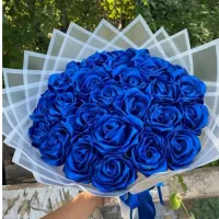 گل روبانی ( تخفیف) در هرمدل