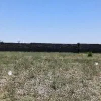 زمین در باغسنگان ۱۲۵متر