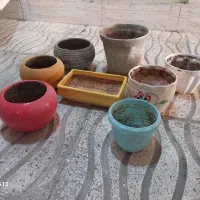 گلدان|گل و گیاه طبیعی|کرمانشاه, |دیوار