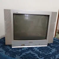 تلویزیون