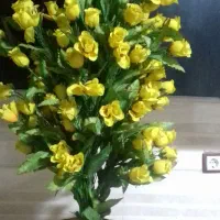 فروش گل