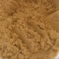 سرلاک طوطی هاگن سرلاک طوطی جوجه طوطی|لوازم جانبی حیوانات|فردیس, شهرک شهید حسینی|دیوار