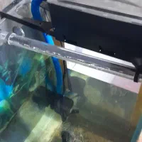 اکواریوم با لجن خوار طلایی و لوازم|ماهی|اسلامشهر, شهرک قائمیه|دیوار