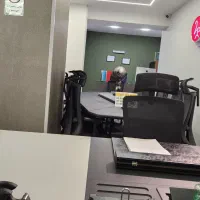 خانم کاملا مسلط به فارکس