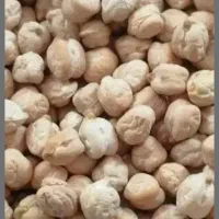 نخودبهاره|خوردنی و آشامیدنی|ثلاث باباجانی, |دیوار