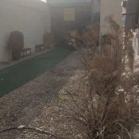 سالن تولد عقد