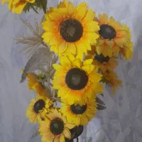 گل گلدان درحدنو