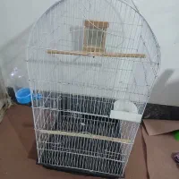 قفس بزرگ نو