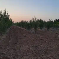 باغشهر ساوالان ارتش