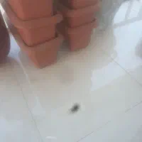 گلدان ۸۰ سانتی|ابزارآلات|شهریار, شهرک وائین|دیوار