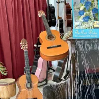 گیتار های دیاموند ،پارسی، یاماها|گیتار، بیس، امپلیفایر|دزفول, |دیوار