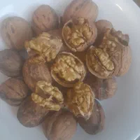 گردو درجه یک پرچرب و خشک شده کیلویی۷۰۰ هزار تومان
