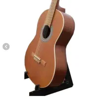 گیتار کلاسیک  پارسی m5|گیتار، بیس، امپلیفایر|همدان, |دیوار