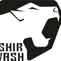 استخدام نیرو