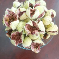 انجیر پرک دستچین