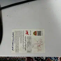 آبگرمکن برقی آذین ۵۰ لیتری|آبگرمکن، پکیج، شوفاژ|هشتگرد, خور|دیوار