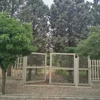 فروش زمین|فروش زمین و ملک کلنگی|محمدشهر, |دیوار
