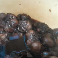 سیر ترشی ۷ ساله درجه یک