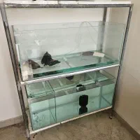اکواریوم سالنی پرورش ماهی بخاری غار پلکو بیوفیلتر