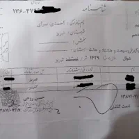 گمشده شده شناسنامه