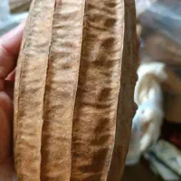 گیاه لیف|لوازم حمام|جویبار, |دیوار