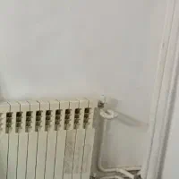 راهنمایی همخونه