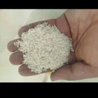 برنج هاشمی درجه یک پایین تر از قیمت بازار