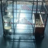 سهره وقفس دستباف کلوکسیونی