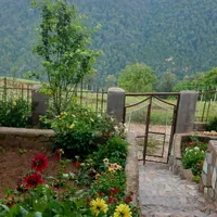 ویلا کوهستانی وجنگلی افراتخته|اجارهٔ کوتاه‌مدت ویلا و باغ|علی‌آباد کتول, |دیوار